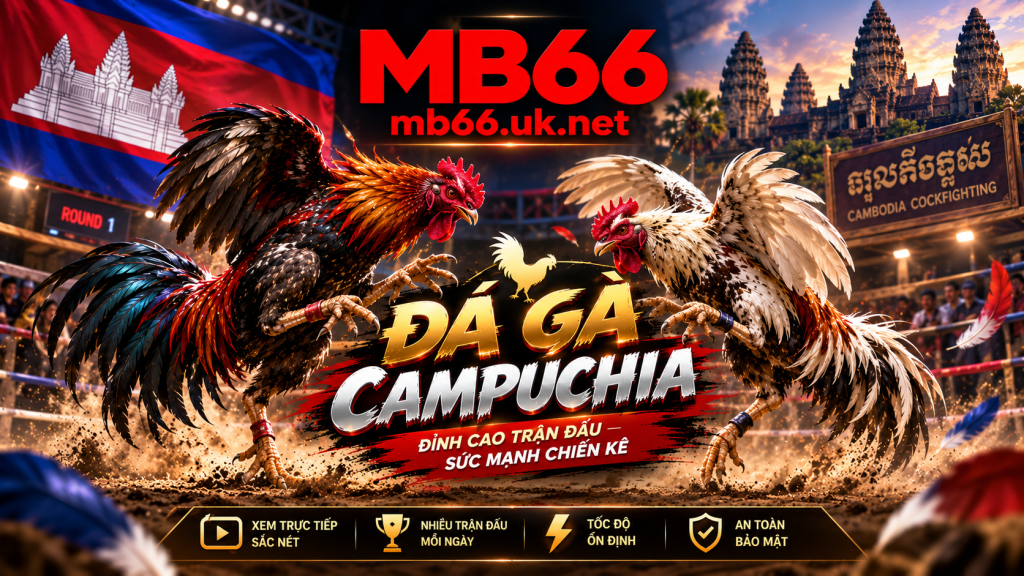 Chi tiết về sảnh cược đá gà campuchia tại nhà cái Mb66