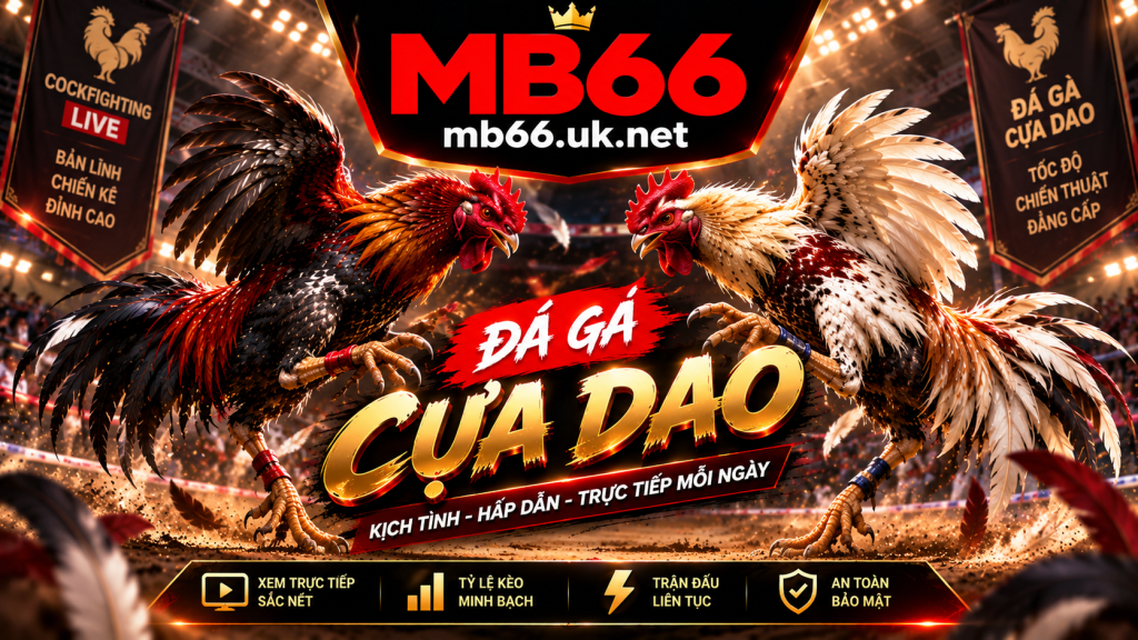 Chi tiết về đá gà cựa dao tại MB66
