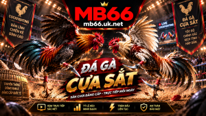 Chi tiết về đá gà cựa sắt tại Mb66