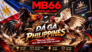 Chi tiết về sảnh đá gà philippines tại nhà cái MB66