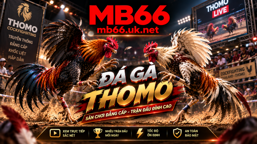 Cách chơi đá gà thomo trên trang Mb66